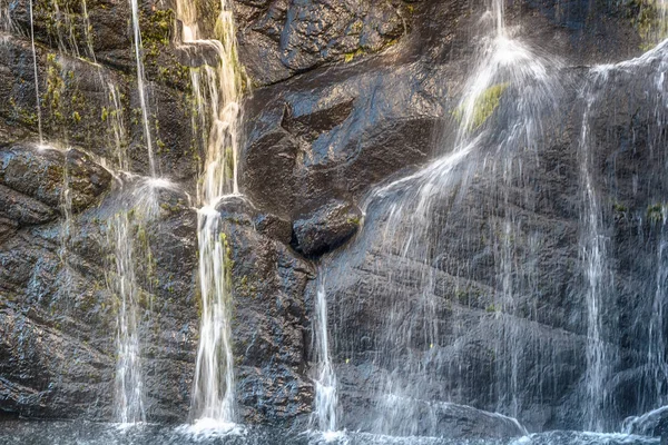 Sri Lanka: Fırıncılar Falls Horton Plains Milli Parkı'nda