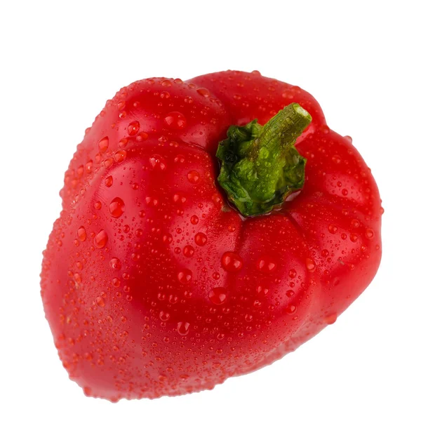 Isolerade färsk röd paprika med vatten droppar — Stockfoto