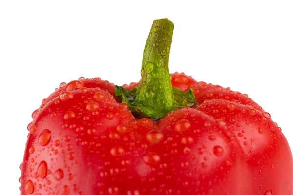 Geïsoleerde verse rode paprika met water druppels — Stockfoto
