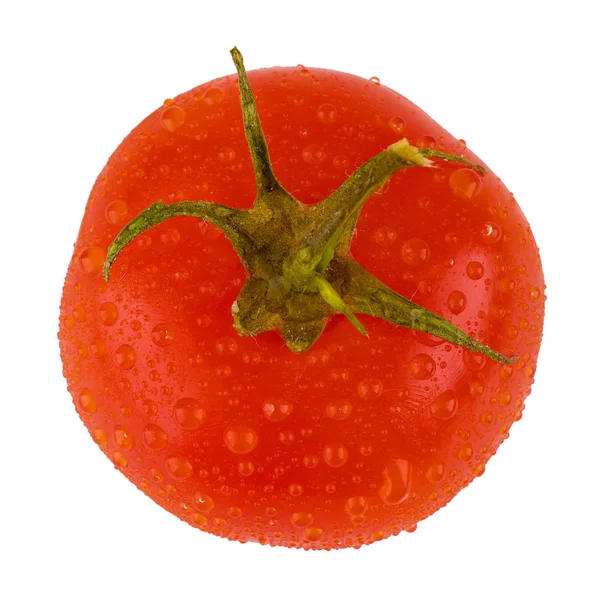 Изолированный свежий помидор с капельками воды — стоковое фото