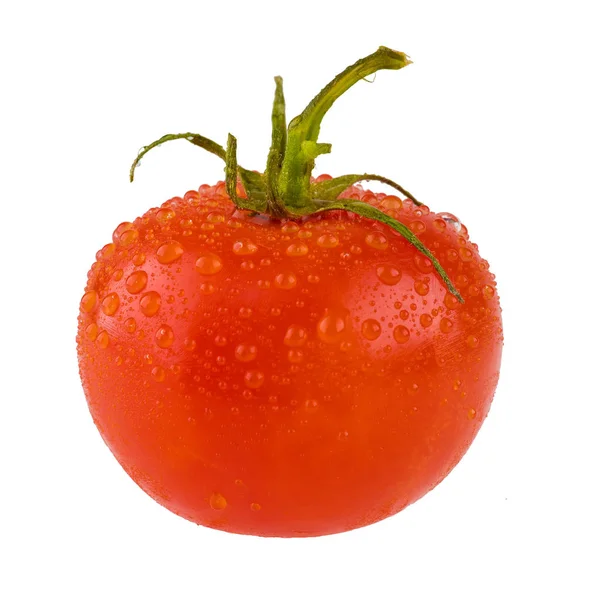 Isolated fresh tomato with water drops — Stock Photo, Image