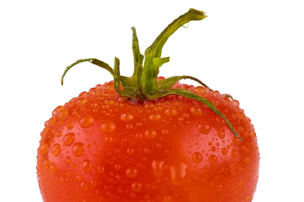 Isolated fresh tomato with water drops — Stock Photo, Image