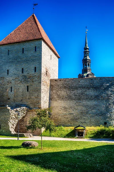 Tallinn, Estonia: il muro difensivo della città — Foto Stock