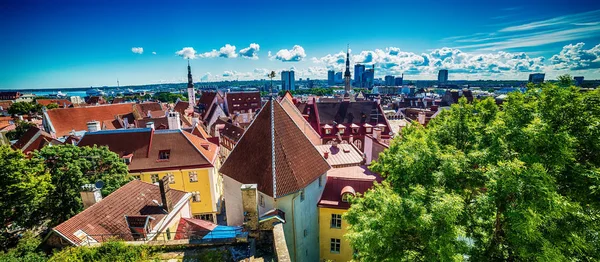 Tallinn, Estonsko: Nejlepší pohled na staré město — Stock fotografie