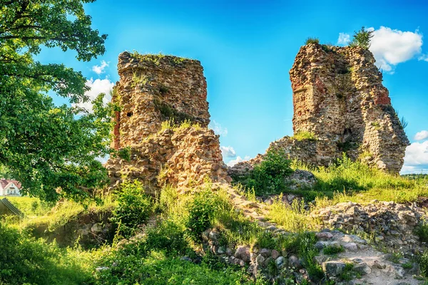 Belarus: remains of Kreva, Krewo, Krevo castle — Stock Photo, Image