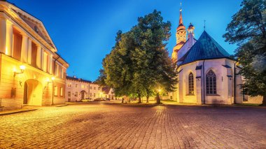 Tallinn, Estonya: St Marys Cathedral