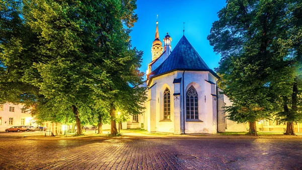 Tallinn, Estonia: St Marys Cathedral — Stock Photo, Image