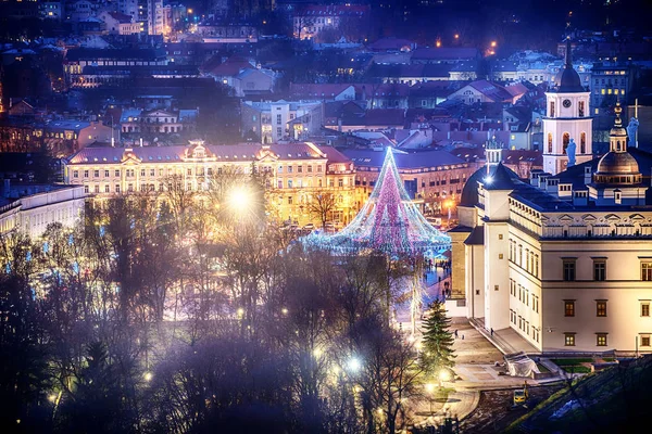 Vilnius, Lithuania: Christmas tree and decorations in Cathedral Square Royalty Free Stock Images