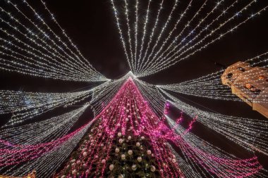 Vilnius, Litvanya: Noel ağacı katedral Meydanı'nda