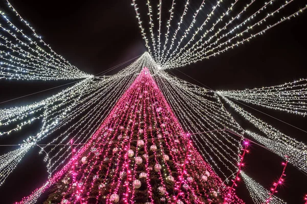 Vilnius, Lituania: Albero di Natale in Piazza Duomo — Foto Stock