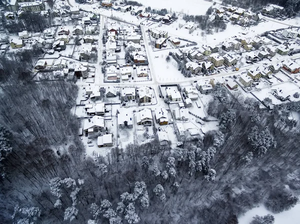 Vista aérea de bosque y casas unifamiliares en invierno — Foto de Stock