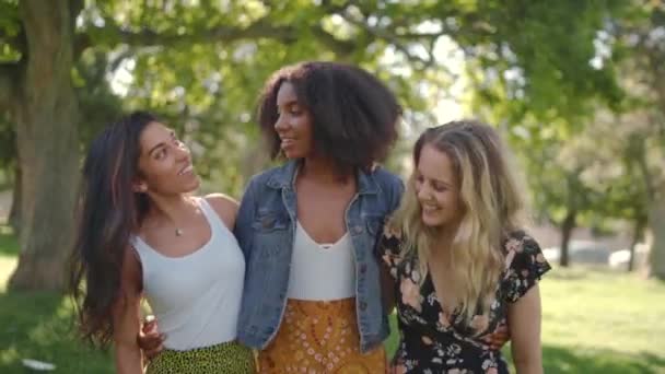 Egy csapat boldog, változatos fiatal barátnő, akik karon fogva beszélgetnek és sétálnak a parkban - mosolygó barátok a parkban, akik együtt sétálnak — Stock videók