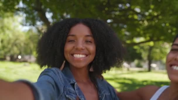 Gülümseyen Afrikalı Amerikalı genç bir kadın, güneşli bir günde, çeşitli arkadaşlarıyla parkta selfie çektirmek için arıyor. — Stok video