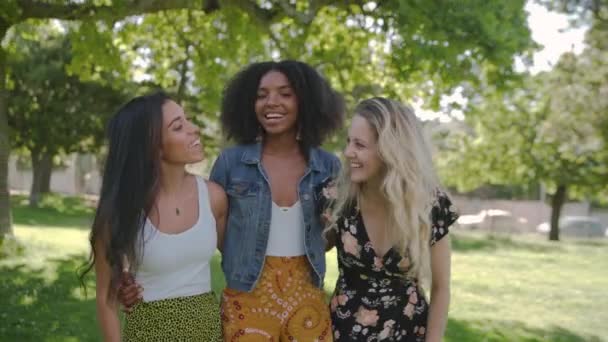 Gruppe verschiedener Freunde, die an einem sonnigen Tag gemeinsam im Park spazieren gehen, lächeln und plaudern — Stockvideo