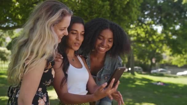 Счастливая молодая группа подруг-представительниц разных этнических групп, пользующихся смартфонами и наслаждающихся моментами общения друг с другом в парке в солнечный день — стоковое видео
