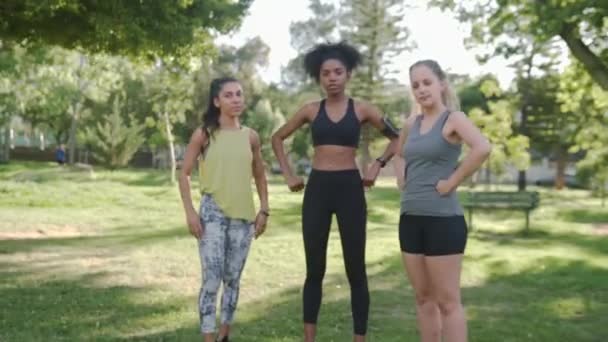 Portrait of three multiracial confident young female friends posing in front of camera at park — Stock Video