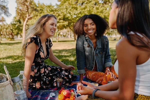 一群面带微笑的多种族女性最好的朋友坐在毛毯上，在公园里享受野餐的果实- -一群健康的朋友在野餐 — 图库照片