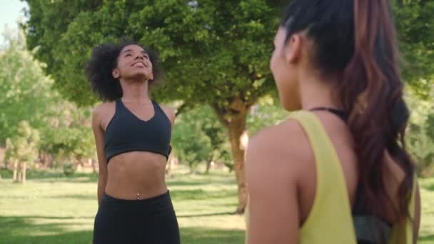 Multiethnische Freundinnen dehnen sich und genießen gesunde Fitness bei Aufwärmübungen im Park — Stockvideo