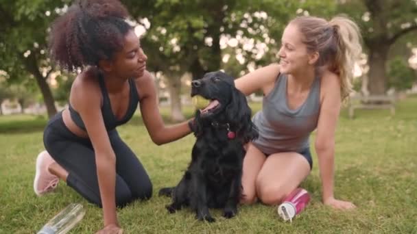 Portrait souriant de jeunes femmes de fitness multiethnique agenouillées sur de l'herbe verte aimant leur chien mignon avec une balle dans la bouche dans le parc — Video