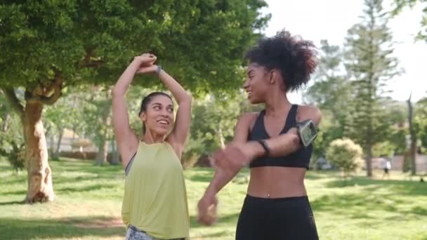 Multiraciální ženské kamarádky ve fitness oblečení mluví a dělá strečink v dopoledních hodinách v parku — Stock video