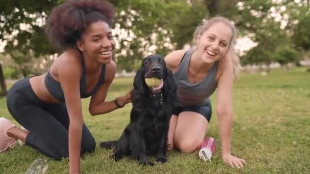 Retrato de dos amigas de fitness acariciando y acariciando a su perro negro con la pelota en su boca en el parque — Vídeo de stock