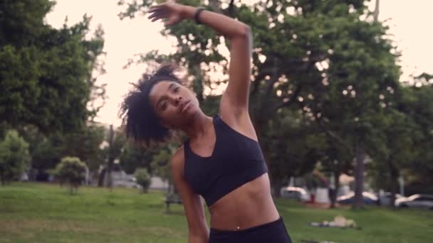 一个健康健康的年轻女子伸展胳膊，在公园里热身的画像 — 图库视频影像