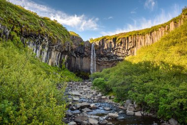 güzel şelale Svartifoss Skaftafell Milli Parkı, İzlanda
