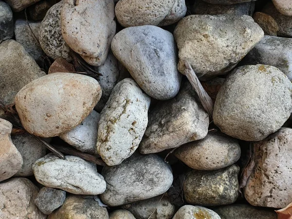 Beautiful Rocks Decorate Garden — Stock Photo, Image