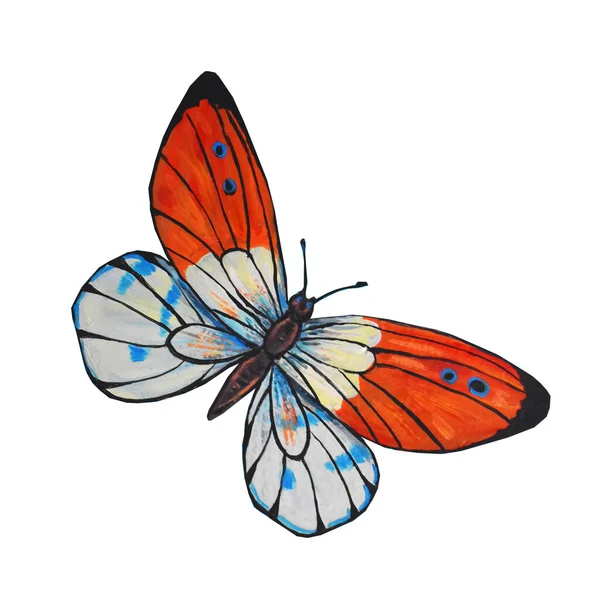 Mariposa Hebomoia Glaucippe. Ilustración acrílica aislada sobre fondo blanco . —  Fotos de Stock