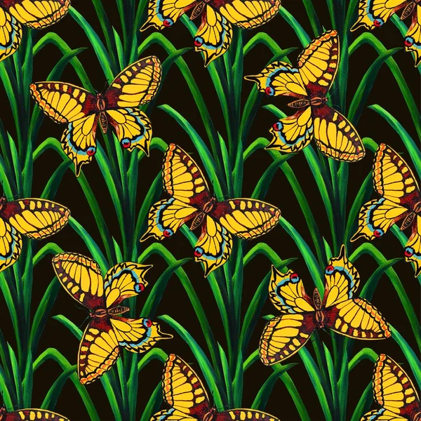 Patrón sin costuras de flores de verano con mariposas. Fondo botánico acrílico . — Foto de Stock