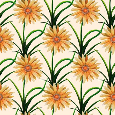 Gerbera papatya çiçekleriyle kusursuz yaz çiçeği deseni .