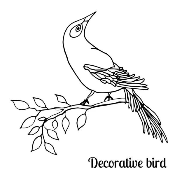 Oriolo de pájaro salvaje para la decoración. Ilustración animal vectorial . — Vector de stock