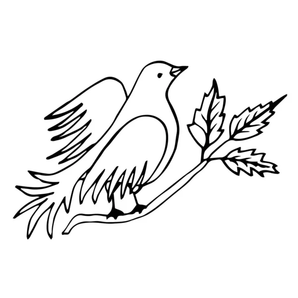 Línea vectorial dibujando pájaro sentado en rama de árbol con hojas, boceto de paloma. Símbolo de libertad — Vector de stock