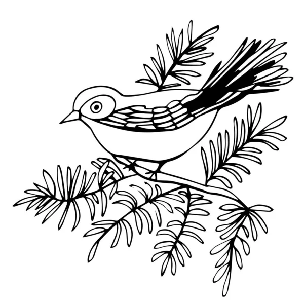 Pájaro decorativo dibujado a mano aislado en blanco. Un pájaro se sienta en una rama . — Vector de stock