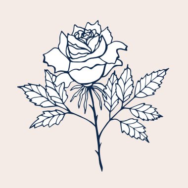 Cute flowers of Rose isolated on light background. Hand drawn bouquet of Roses.