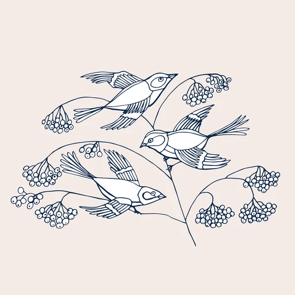 Hand drawn decorative birds isolated on white. A birds sits on a rowan branches with berries. — Stock vektor