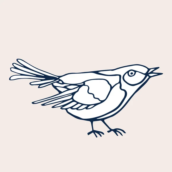 Pájaro decorativo dibujado a mano aislado en blanco. Ilustración vectorial . — Vector de stock