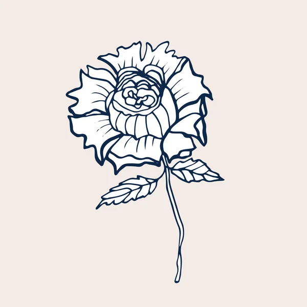 Mignonne Rose isolée sur fond clair. Fleur dessinée à la main de Rose . — Image vectorielle