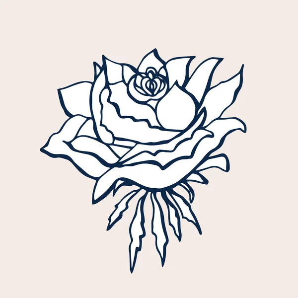 Mignonne Rose isolée sur fond clair. Fleur dessinée à la main de Rose . — Image vectorielle
