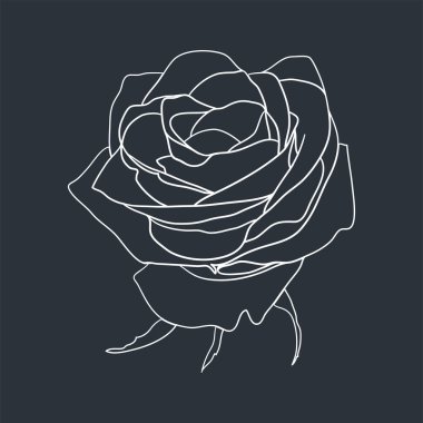 Cute rose isolated on dark background. Hand drawn outline of rose.