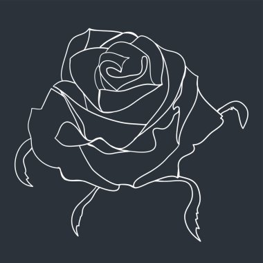 Cute rose isolated on dark background. Hand drawn outline of rose.