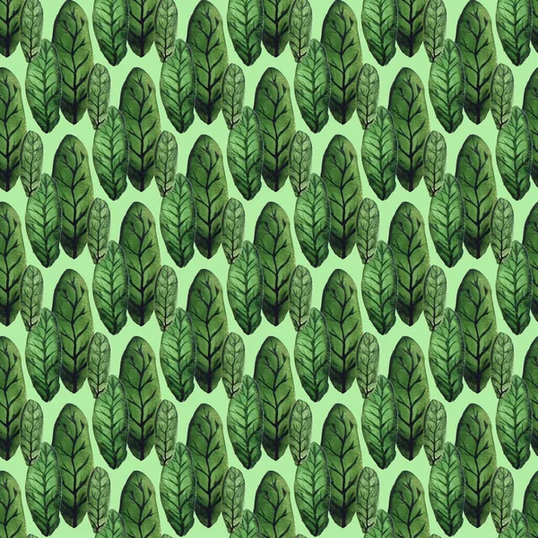 Folhas de aquarela. Fundo sem fim com folhas verdes . — Fotografia de Stock