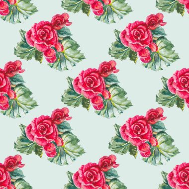 Açık yeşil arka planda yaprakları olan kırmızı begonya çiçekleri. Kusursuz çiçek deseni.