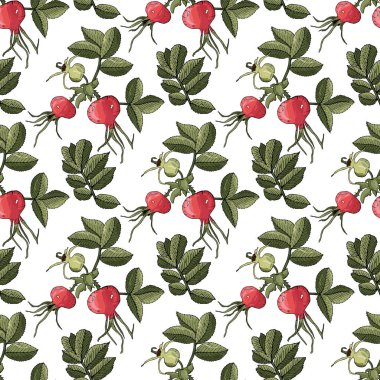 Elle çizilmiş gül kalçalı pürüzsüz desen.