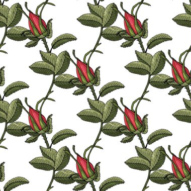 Elle çizilmiş tomurcuklu ve yapraklı pürüzsüz desen..