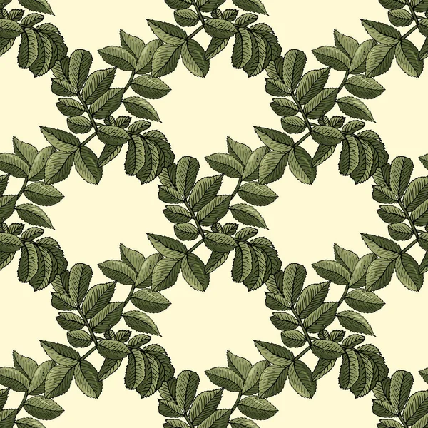 Бесшовный узор с нарисованными вручную листьями шиповника . — стоковый вектор