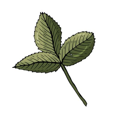 Rosehip colorful branch isolated sketch on white background.