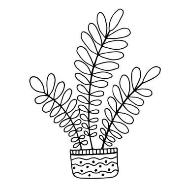 Cute hand drawn flower plant in pot. Doodle vector illustration.