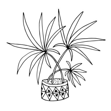Cute hand drawn flower plant in pot. Doodle vector illustration.