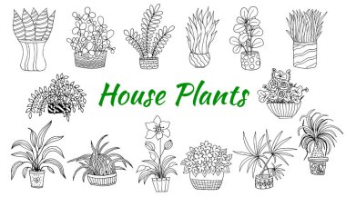 Cute hand drawn set of flowers pots. Doodle vector illustration house plants for your designes.